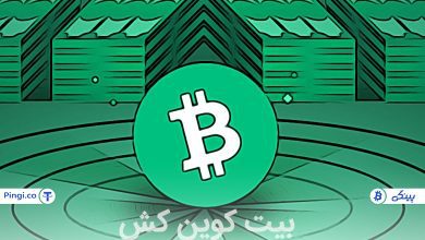 بیت کوین کش چیست؟