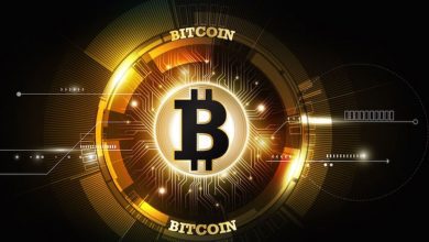 تئوری ها درباره ی قیمت بیت کوین