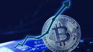 هاوینگ یا انتخابات، کدامیک بیشتر باعث افزایش بیت کوین می‌شود؟