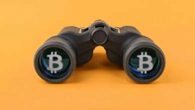 قیمت بیت کوین بعد از پیروزی جو باید چه واکنشی نشان داد؟