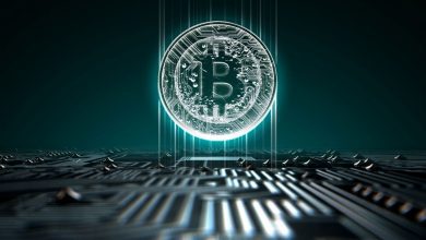 قیمت بیت کوین به بالاترین حد در 2020 رسید. بیش از 14200 دلار