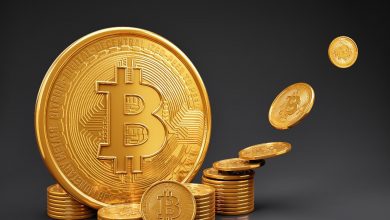 آیا نتیجه پامپ بیت کوین بعد از توییت ایلان ماسک یک دامپ است؟