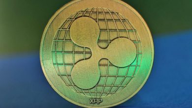 آیا افزایش قیمت ریپل تا فردا هم ادامه دارد؟ 13 بهمن 1399