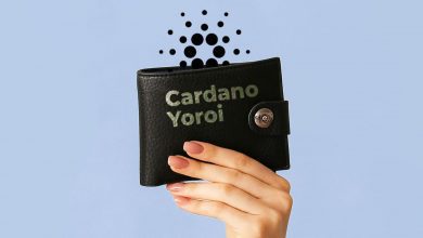 استیکینگ کاردانو در کیف پول Yoroi