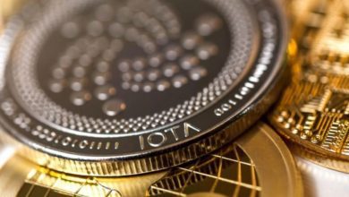 آیا قیمت IOTA‌ افزایش می‌یابد؟