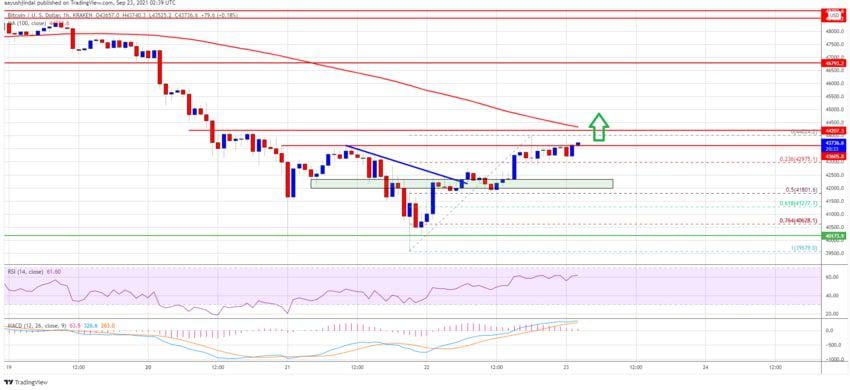 نمودار قیمت بیت کوین