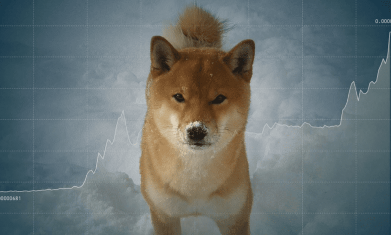 ارز شیبا با افزایش از دوج کوین پیشی گرفت