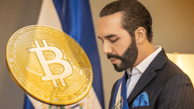 السالوادور 420 بیت کوین دیگر خرید و سرمایه گذاری او سودآور است