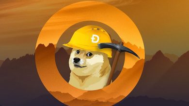 آموزش کامل استخراج دوج کوین | ماینینگ Dogecoin