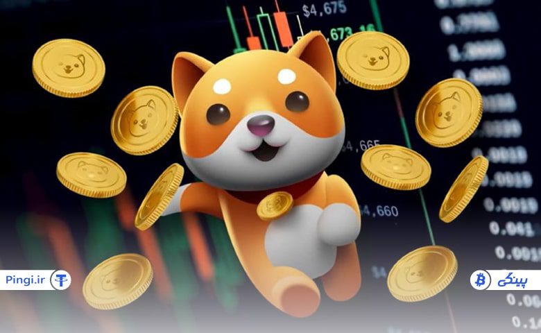 آیا بیبی دوج بخریم؟