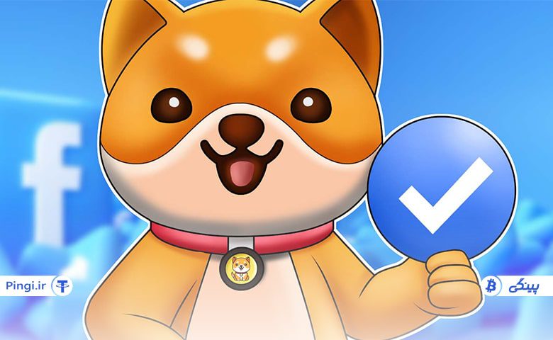 آینده ارز بیبی دوج کوین BabyDoge چگونه پیش بینی می شود؟