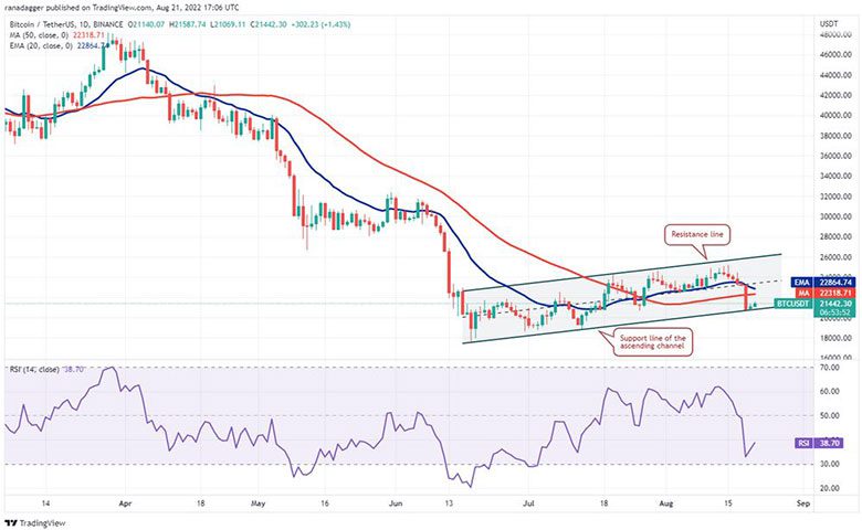 نمودار روزانه BTC/USDT