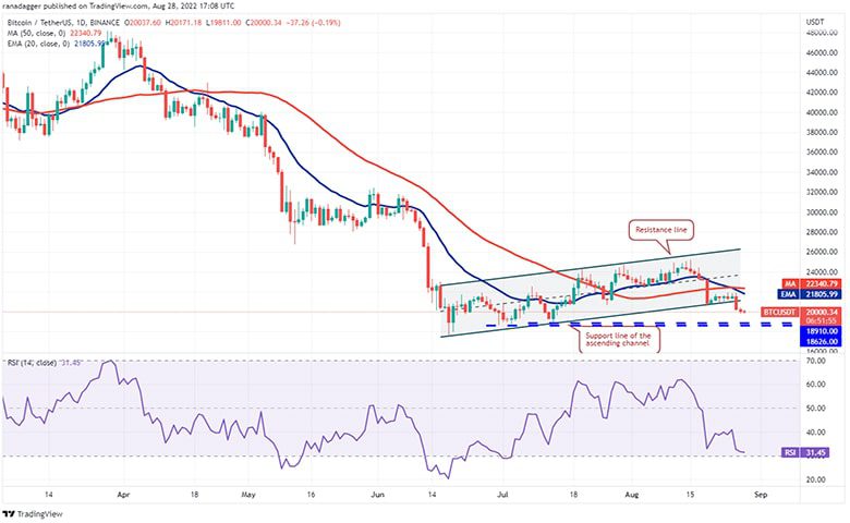 نمودار روزانه BTC/USDT
