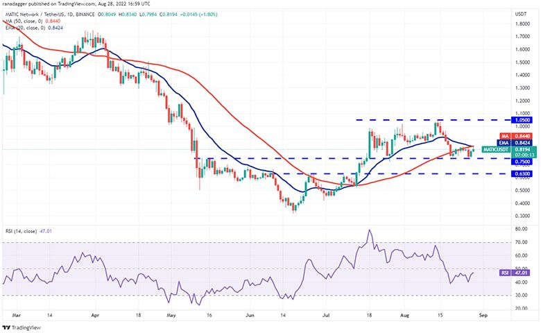 نمودار روزانه MATIC/USDT