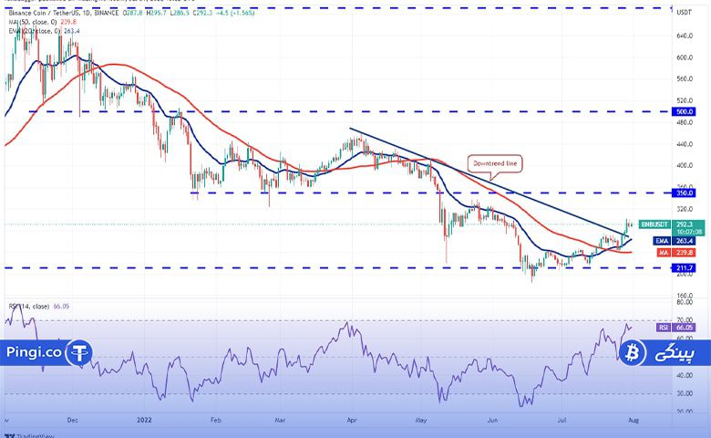 نمودار روزانه BNB/USDT