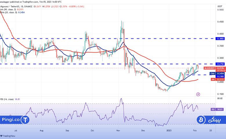 نمودار روزانه ALGO/USDT