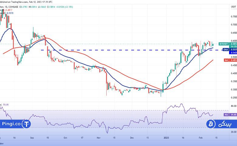 نمودار روزانه BIT/USDT