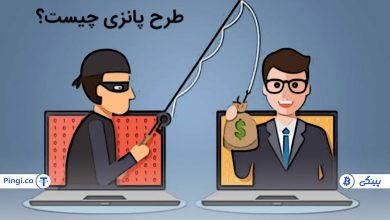 طرح پانزی چیست؟