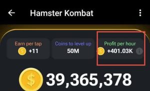 profit per hour hamster - سود در ساعت همستر چیست ؟