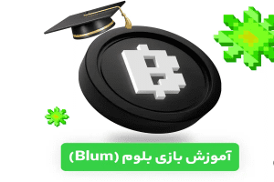 آموزش بازی بلوم