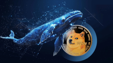 قیمت DOGE