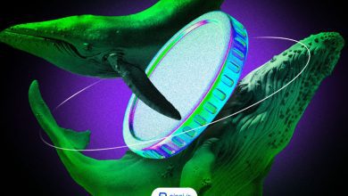 قیمت سولانا