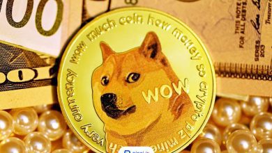 قیمت دوج کوین | پینگی