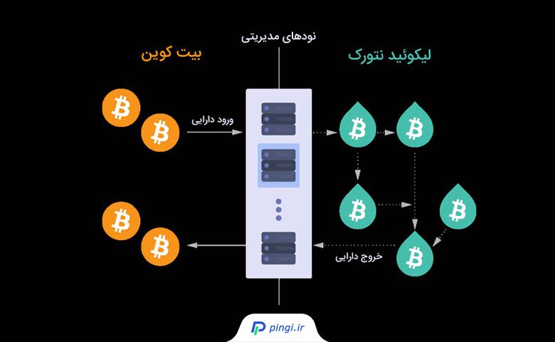 لیکوئید نتورک