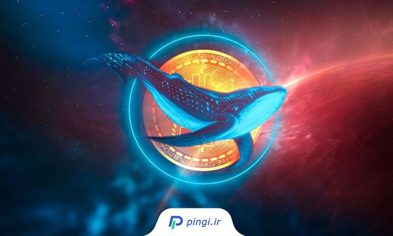 بزرگ‌ترین فروش بیت‌کوین