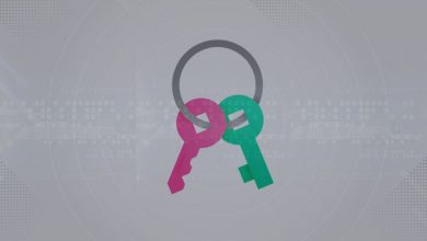 تصویر از رمزنگاری کلید عمومی (PKC) چیست؟