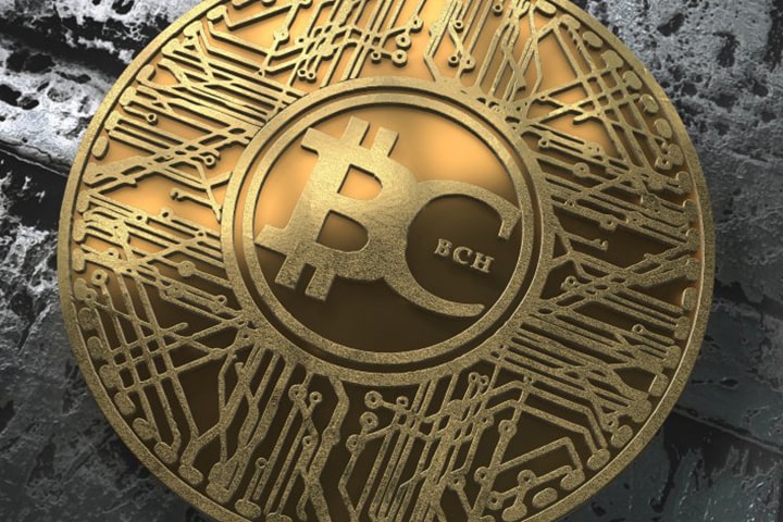 بیت کوین کش bitcoin cash