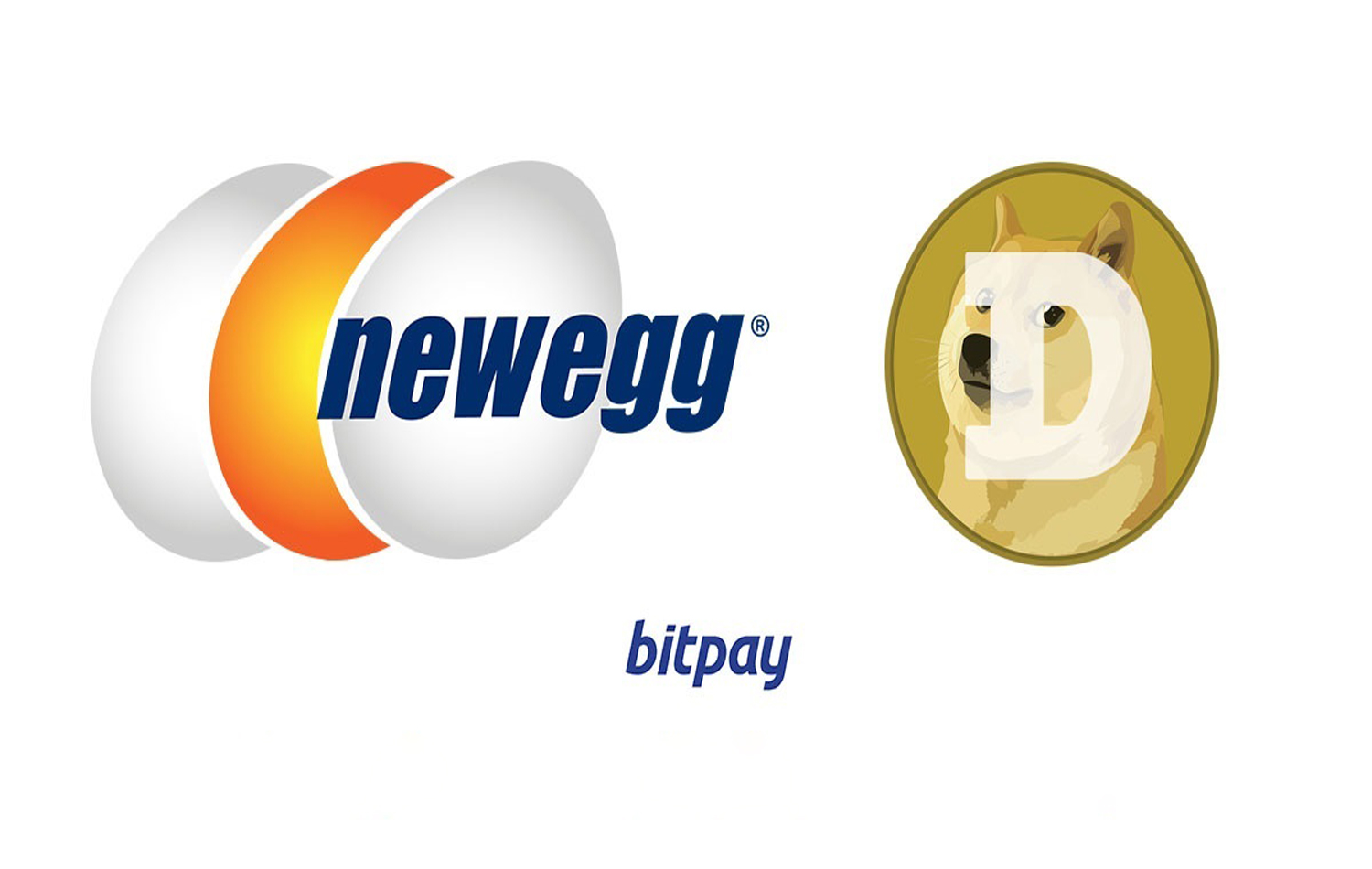 افزایش ارزش دوج کوین با پذیرش Newegg