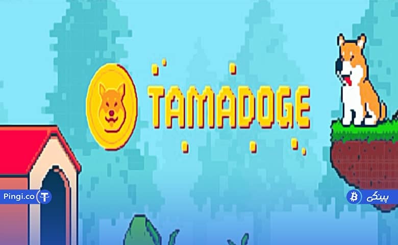 تامادوج (Tamadog)؛ بهترین شیت کوین برای خرید در حال حاضر