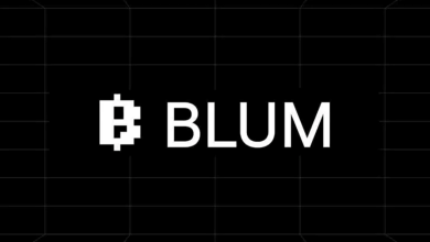 تصویر از پروژه و بازی بلوم (Blum) تلگرام: ایردراپ و استخراج رایگان (فرصت جدید)