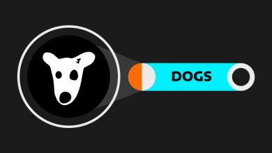 تصویر از ربات تلگرامی داگز Dogs چیست؟ آیا داگز لیست شده است ؟