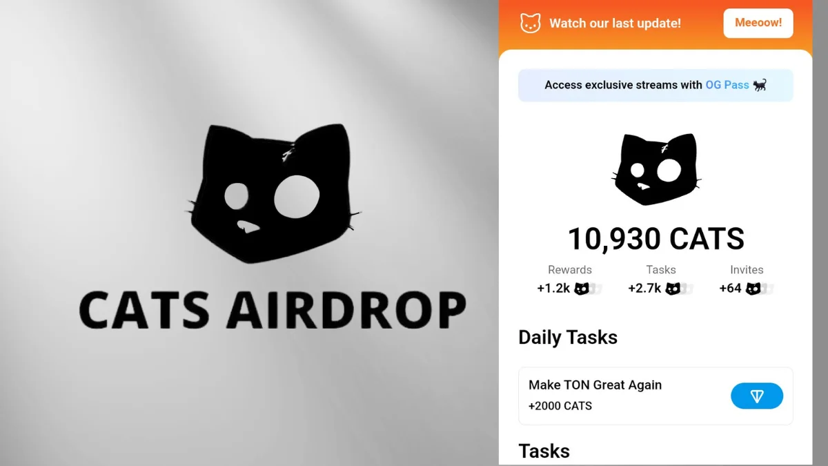 Cats Airdrop Snapshot 1