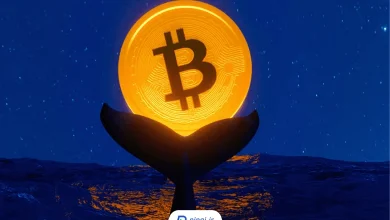 تحلیل بیت کوین و رفتار نهنگ‌ها