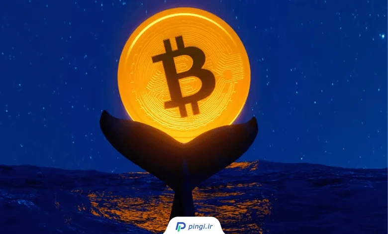 تحلیل بیت کوین و رفتار نهنگها