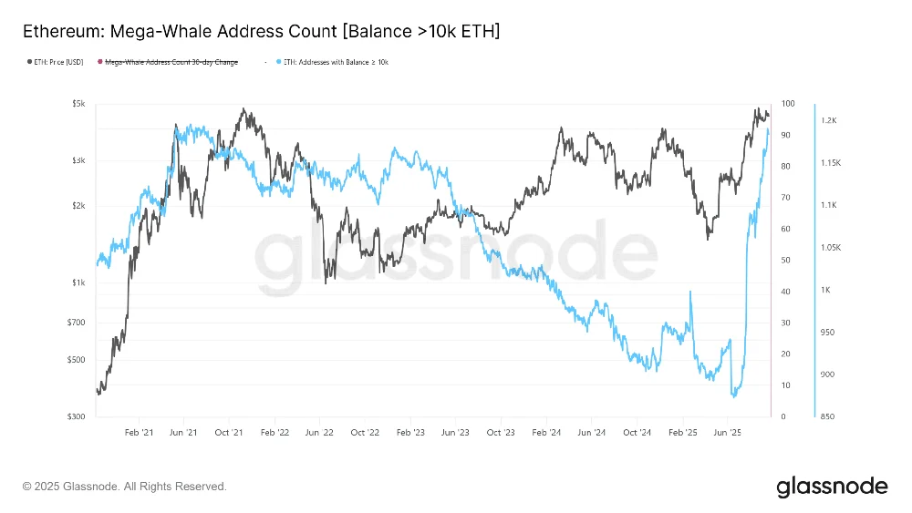 خرید ETH توسط نهنگهای بزرگ اتریوم | پینگی