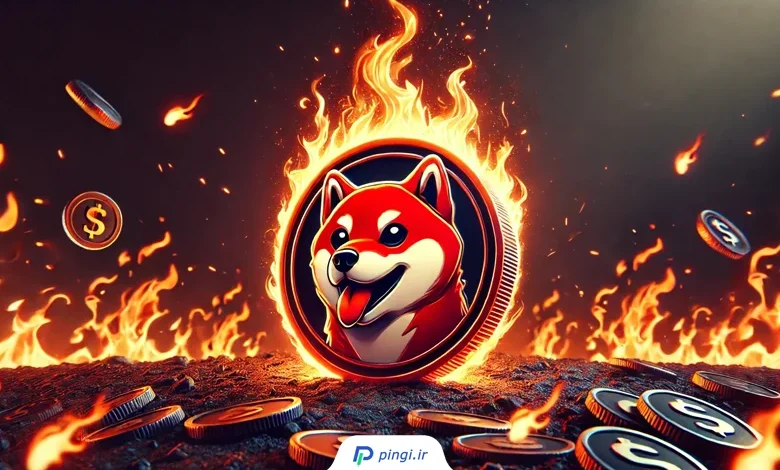 توکن سوزی شیبا | پینگی