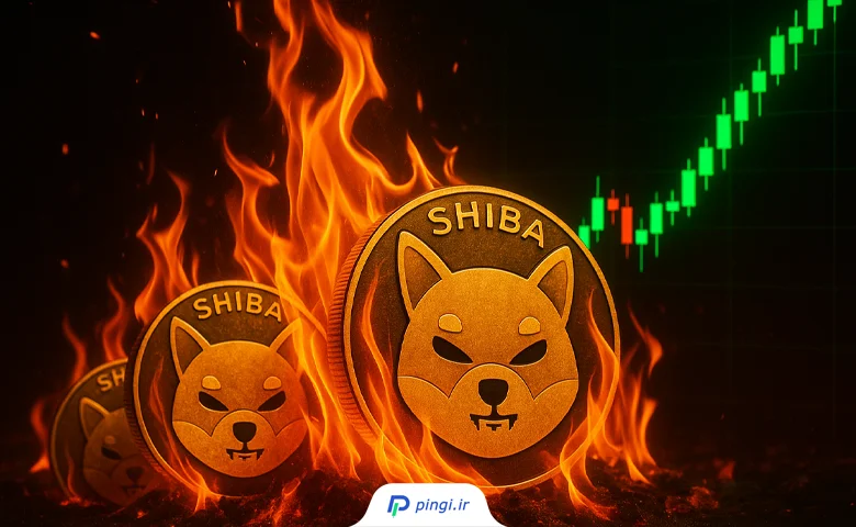 چشم انداز توکن سوزی شیبا اینو | پینگی