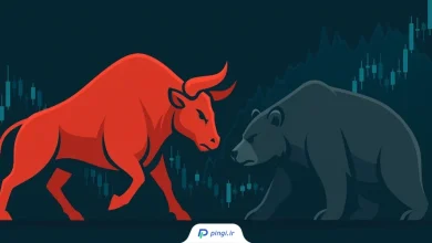 تحلیل جوآئو ودسون از روند صعودی بیت کوین | پینگی