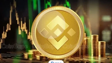 قیمت ارز bnb صرافی بایننس | پینگی